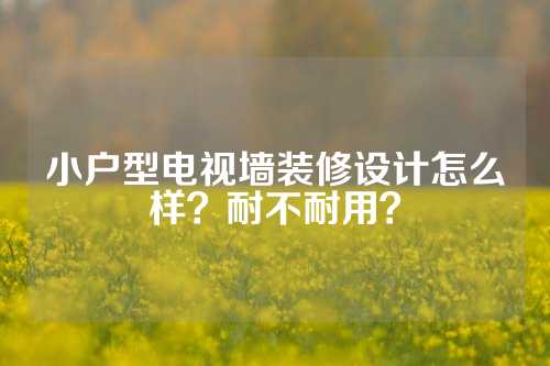 小户型电视墙装修设计怎么样？耐不耐用？