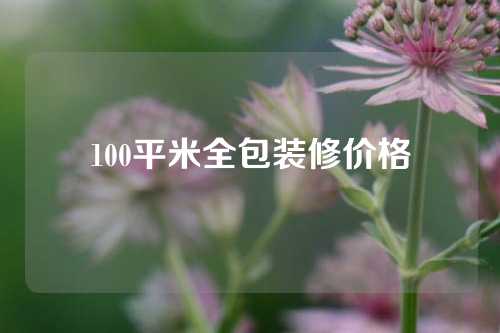 100平米全包装修价格