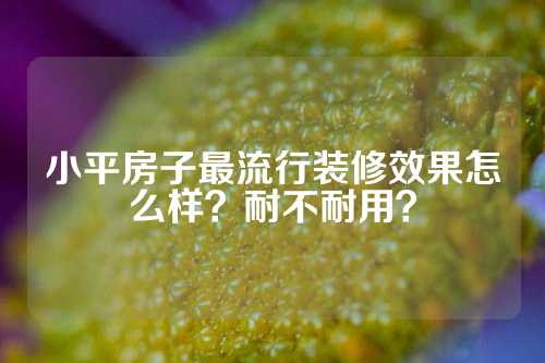 小平房子最流行装修效果怎么样？耐不耐用？