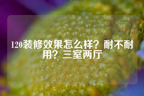 120装修效果怎么样？耐不耐用？三室两厅