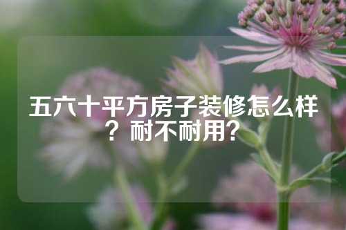 五六十平方房子装修怎么样？耐不耐用？