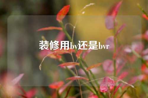 装修用bv还是bvr