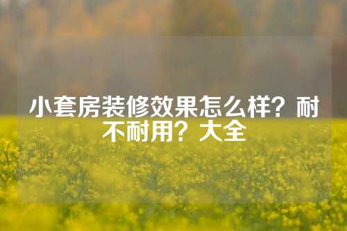 小套房装修效果怎么样？耐不耐用？大全