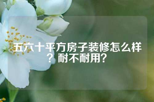 五六十平方房子装修怎么样？耐不耐用？