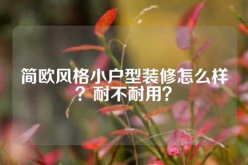 简欧风格小户型装修怎么样？耐不耐用？