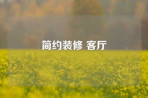 简约装修 客厅