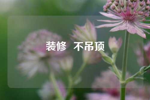 装修  不吊顶