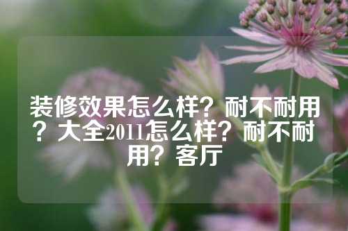 装修效果怎么样？耐不耐用？大全2011怎么样？耐不耐用？客厅