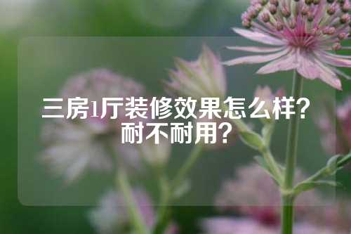 三房1厅装修效果怎么样？耐不耐用？