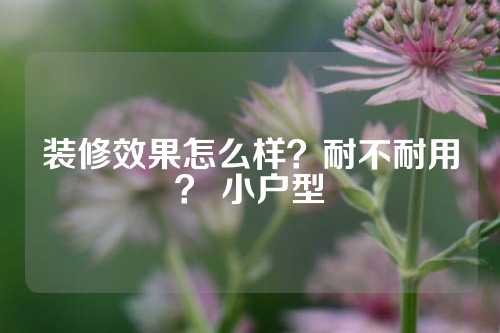 装修效果怎么样？耐不耐用？ 小户型