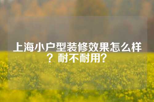 上海小户型装修效果怎么样？耐不耐用？