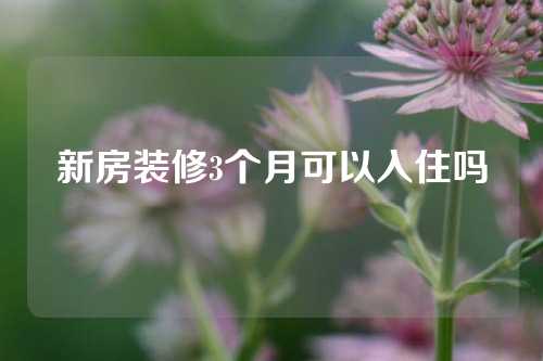 新房装修3个月可以入住吗