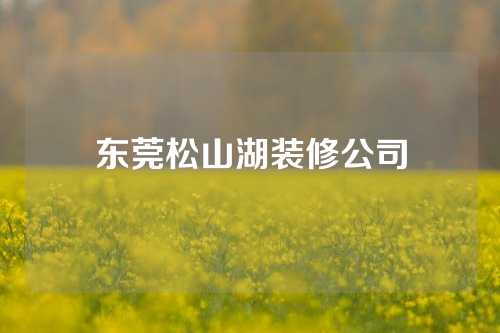 东莞松山湖装修公司