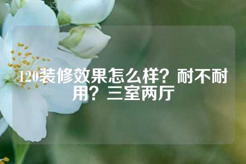 120装修效果怎么样？耐不耐用？三室两厅