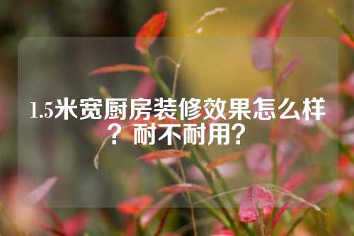 1.5米宽厨房装修效果怎么样？耐不耐用？