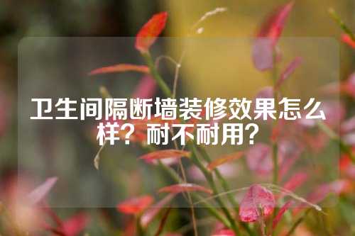 卫生间隔断墙装修效果怎么样？耐不耐用？