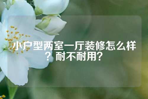 小户型两室一厅装修怎么样？耐不耐用？