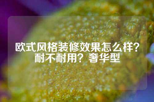 欧式风格装修效果怎么样？耐不耐用？奢华型