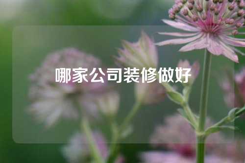 哪家公司装修做好