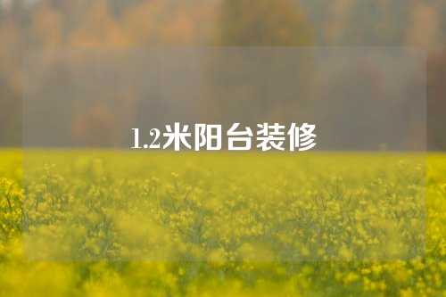 1.2米阳台装修