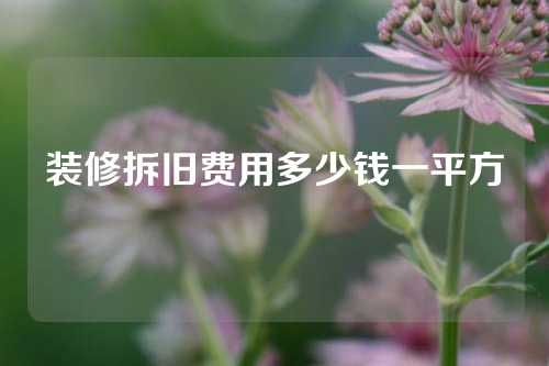 装修拆旧费用多少钱一平方