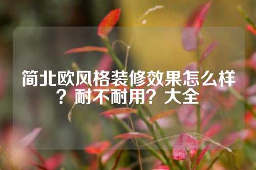 简北欧风格装修效果怎么样？耐不耐用？大全