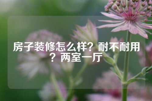 房子装修怎么样？耐不耐用？两室一厅