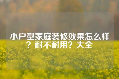 小户型家庭装修效果怎么样？耐不耐用？大全