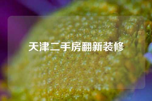 天津二手房翻新装修