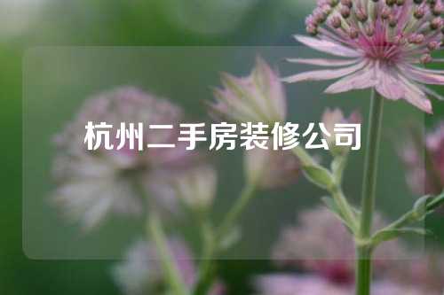 杭州二手房装修公司