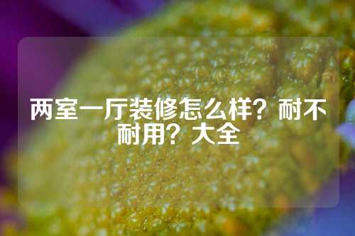 两室一厅装修怎么样？耐不耐用？大全