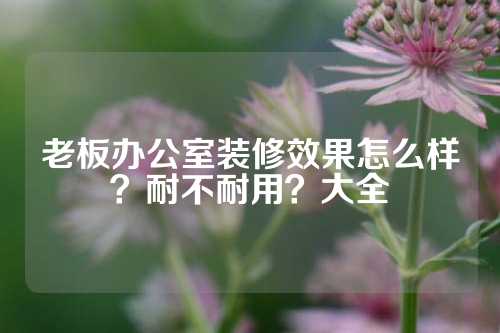 老板办公室装修效果怎么样？耐不耐用？大全