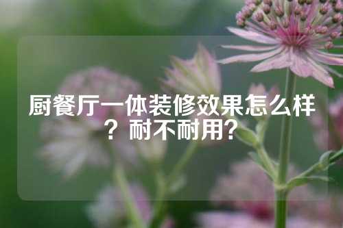 厨餐厅一体装修效果怎么样？耐不耐用？