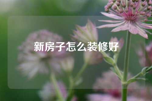 新房子怎么装修好