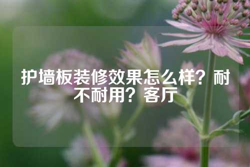 护墙板装修效果怎么样？耐不耐用？客厅