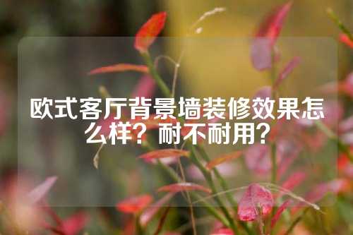 欧式客厅背景墙装修效果怎么样？耐不耐用？