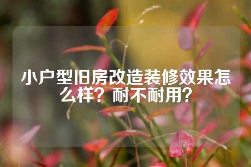 小户型旧房改造装修效果怎么样？耐不耐用？