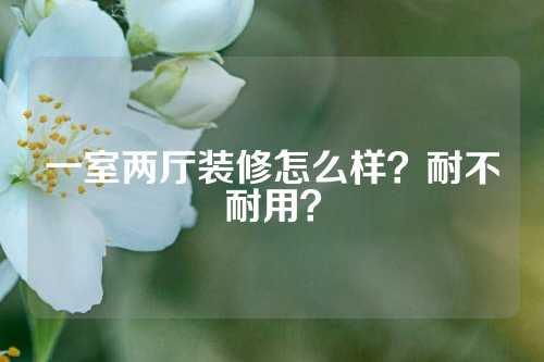 一室两厅装修怎么样？耐不耐用？