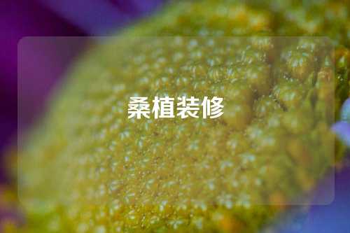 桑植装修