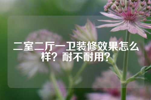 二室二厅一卫装修效果怎么样？耐不耐用？