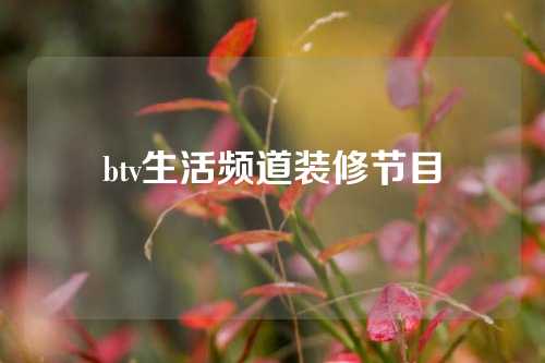 btv生活频道装修节目