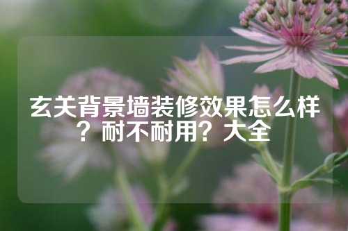 玄关背景墙装修效果怎么样？耐不耐用？大全