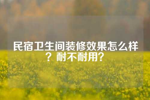 民宿卫生间装修效果怎么样？耐不耐用？