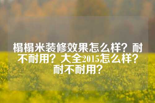 榻榻米装修效果怎么样？耐不耐用？大全2015怎么样？耐不耐用？