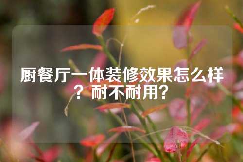 厨餐厅一体装修效果怎么样？耐不耐用？