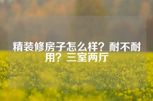 精装修房子怎么样？耐不耐用？三室两厅