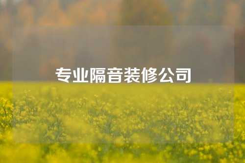 专业隔音装修公司